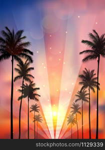 Palm trees at sunset