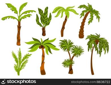 Palm trees. Decorative tropical trees with different shapes leaves, botanical exotic plants, jungle coconuts, miami beach flora, subtropical climate, swanky vector cartoon flat style isolated set. Palm trees. Decorative tropical trees with different shapes leaves, botanical exotic plants, jungle coconuts, miami beach flora, subtropical climate, swanky vector cartoon flat set