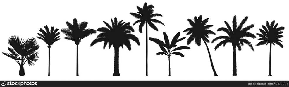 Palm trees silhouette. Retro coconut trees, hand drawn tropical palm silhouettes vector set. Illustration palm tree botany, green tropical plants. Palm trees silhouette. Retro coconut trees, hand drawn tropical palm silhouettes vector set