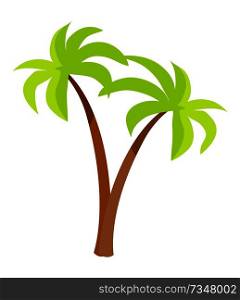 Palm trees with green leaves and brown trunk, exotic plants icons in flat style design, tropical jungle forest plant vector illustration isolated on white. Palm Trees with Green Leaves and Trunk, Palm Icons