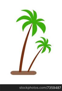 Palm trees with green leaves and brown trunk growing in sand, botanical icons flat style design, exotic tropical jungle forest plant vector illustration. Palm Trees with Green Leaves and Trunk Growing