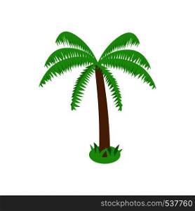 Palm tropical tree icon in isometric 3d style on white background. Palm tropical tree icon, isometric 3d style
