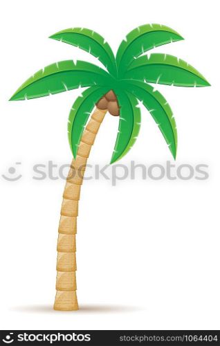 palm tropical tree vector illustration isolated on white background