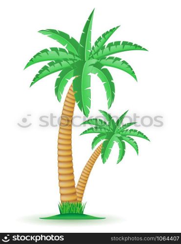 palm tropical tree vector illustration isolated on white background