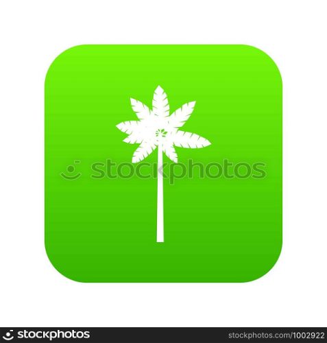 Palm woody plant icon digital green for any design isolated on white vector illustration. Palm woody plant icon digital green