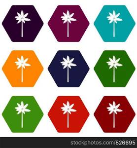 Palm woody plant icon set many color hexahedron isolated on white vector illustration. Palm woody plant icon set color hexahedron