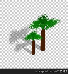Palms isometric icon 3d on a transparent background vector illustration. Palms isometric icon