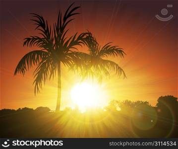 Palms on Sunset