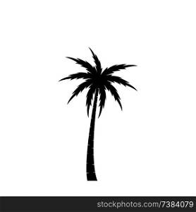 Palms tree icons