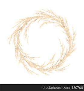 Pampas grass golden wreath. Vector illustration. panicle Cortaderia selloana South America. festive decoration template. feathery grass head plumes, for Floral arrangements, ornamental displays, print. Pampas grass golden wreath. Vector illustration. panicle Cortaderia selloana South America. festive decoration template.