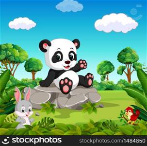 Panda in the forest