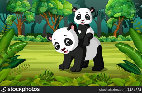 Panda with baby panda in the forest