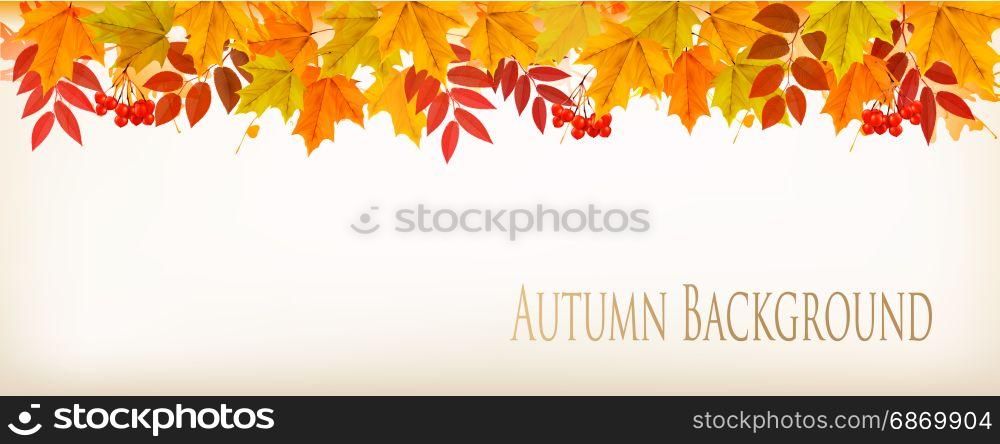 Panorama Fall Autumn Colorful Leaves Background. Vector.