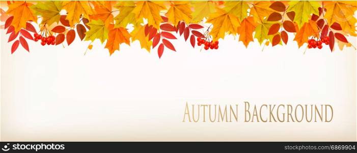 Panorama Fall Autumn Colorful Leaves Background. Vector.