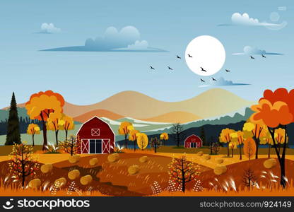 Panorama landscapes of countryside in autumn,Mid autumn with farm field, mountains, wild grass and leaves falling from trees with blue sky and yellow foliage.Fall season with copy space for banner