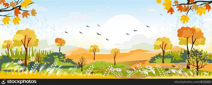 panorama landscapes of Countryside in autumn,Panoramic of mid autumn with farm field, mountains, wild grass in yellow foliage. Wonderland landscape in fall season