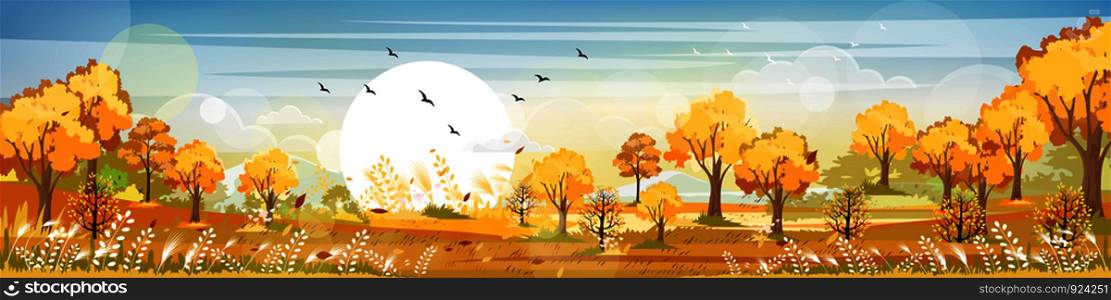 Panorama of Countryside landscape in autumn, Vector illustration of horizontal banner of Autumn landscape, barn, mountains and maple leaves falling from the trees in yellow foliage. Fall seasons
