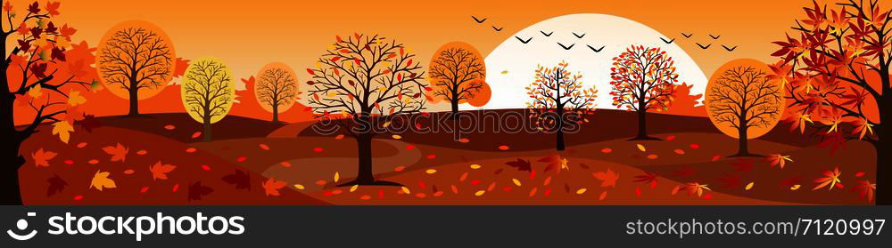 Panoramic of Countryside landscape in autumn, Vector illustration of horizontal banner of autumn landscape mountains and maple trees fallen with yellow foliage.