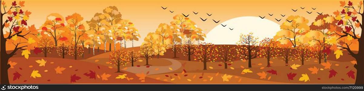 Panoramic of Countryside landscape in autumn, Vector illustration of horizontal banner of autumn landscape mountains and maple trees fallen with yellow foliage.