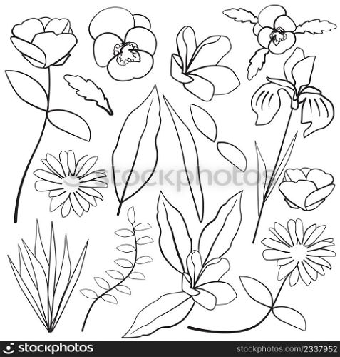 Pansy Iris Plumeria Daisy Leaf Flower Floral Silhouette Outline Line Element