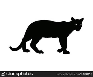 panther2. Wild animal with burning eyes in night darkness.