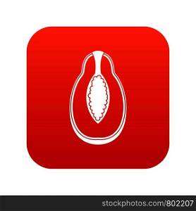 Papaya fruit icon digital red for any design isolated on white vector illustration. Papaya fruit icon digital red