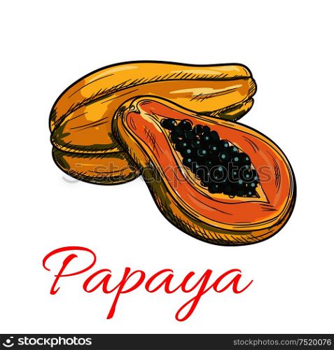 Papaya fruit vector color sketch icon. Isolated whole and half papaya slice. Sweet fruit product emblem for juice or jam label, sticker, farm store design element. Papaya vector color sketch icon