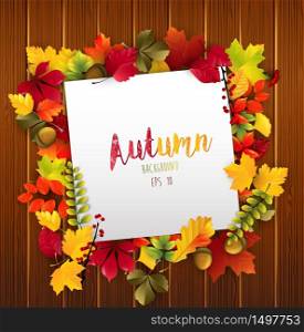 Paper design with autumn leaves and acorns on wood background.Vector