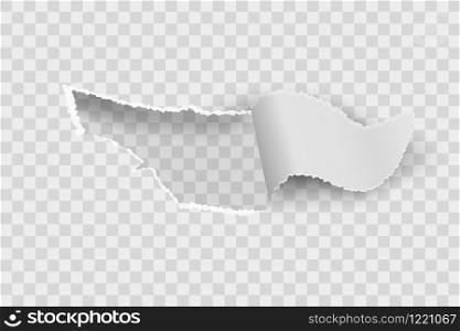 Paper hole. Realistic torn blank rip edge banner. Tear off paper curled piece isolated on transparent background. Vector illustration white papers with ripped edges on transparent background. Paper hole. Realistic torn blank rip edge banner. Tear off paper curled piece isolated on transparent background. Vector illustration
