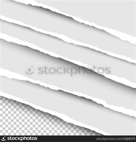 Paper illustration. Torn paper on transparent background. Realistic strips torn paper art with shadow, isolated. Vector illustration.