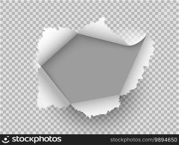 Paper realistic hole. Ripped torn hole on transparent background, cardboard rip burst, damaged sheet with curled pieces, open paper gap, empty bullets ripping page texture vector 3d illustration. Paper realistic hole. Ripped torn hole on transparent background, cardboard rip burst, damaged sheet with curled pieces, open paper gap, bullets ripping page texture vector illustration