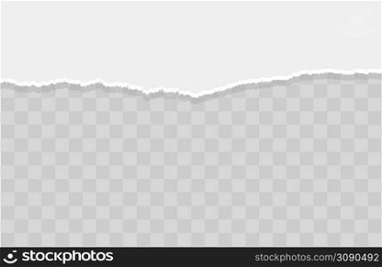 Paper texture with ripped edges and shadow. Horizontal banner template. Vector illustration . Paper texture with ripped edges and shadow. Horizontal banner template. Vector
