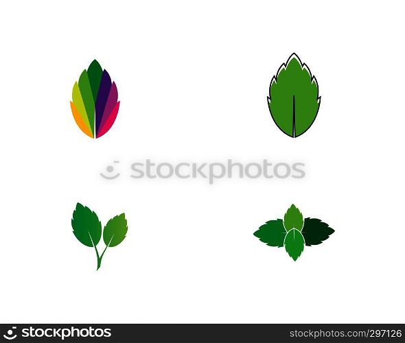 papermint leaf illustration vector template