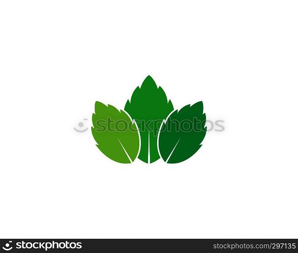 papermint leaf illustration vector template