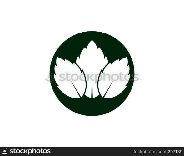 papermint leaf illustration vector template