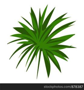 Papyrus frond icon. Cartoon of papyrus frond vector icon for web design isolated on white background. Papyrus frond icon, cartoon style