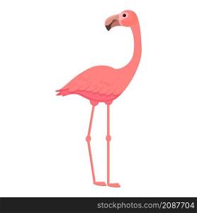 Paradise flamingo icon cartoon vector. Pink bird. Cute tropic flamingo. Paradise flamingo icon cartoon vector. Pink bird