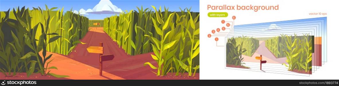 Parallax background cornfield with wooden road pointers and high green plant stems. Cartoon scenery nature 2d landscape with separated layers for game scene. Labyrinth, maze scene Vector illustration. Parallax background cornfield with road pointers