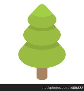 Park fir tree icon. Isometric of park fir tree vector icon for web design isolated on white background. Park fir tree icon, isometric style