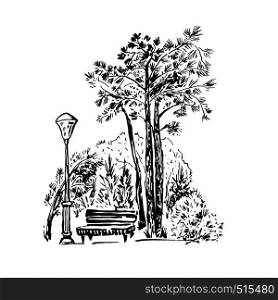Park scene hand drawn ink illustration. Landscape ink pen sketch. Black and white clipart. Realistic street bench, tree, lantern freehand drawing. Isolated urban design element. Postcard sketch. Park scene hand drawn vector illustration