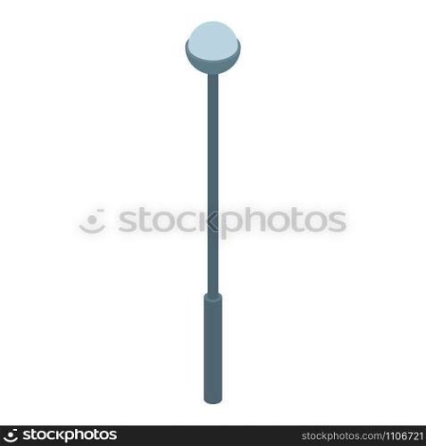Park street light icon. Isometric of park street light vector icon for web design isolated on white background. Park street light icon, isometric style