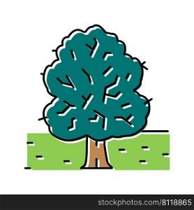park tree color icon vector. park tree sign. isolated symbol illustration. park tree color icon vector illustration