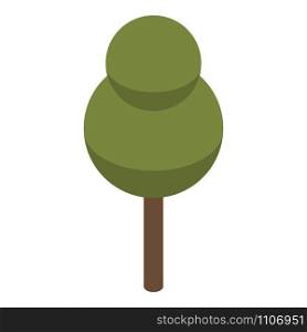 Park tree icon. Isometric of park tree vector icon for web design isolated on white background. Park tree icon, isometric style