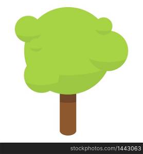 Park tree icon. Isometric of park tree vector icon for web design isolated on white background. Park tree icon, isometric style