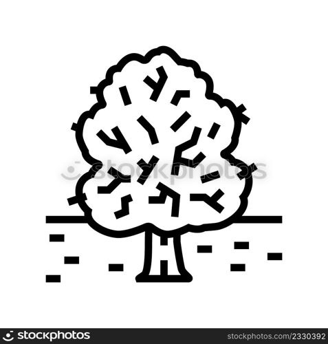 park tree line icon vector. park tree sign. isolated contour symbol black illustration. park tree line icon vector illustration