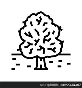 park tree line icon vector. park tree sign. isolated contour symbol black illustration. park tree line icon vector illustration