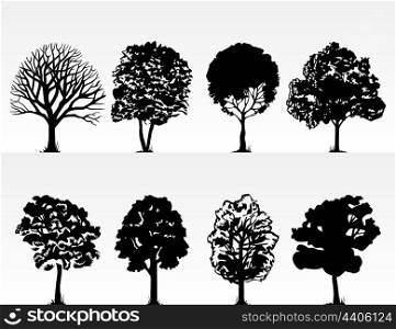 Park trees. Silhouettes of trees on a white background. A vector illustration