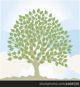 Park trees4. Tree with a roundish crone. A vector illustration