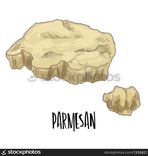 Parmesan. Full color cheese illustration, vector hand drawn sketch art.