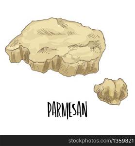 Parmesan. Full color cheese illustration, vector hand drawn sketch art.